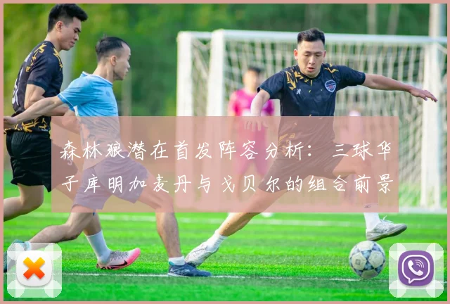 森林狼潜在首发阵容分析：三球华子库明加麦丹与戈贝尔的组合前景如何